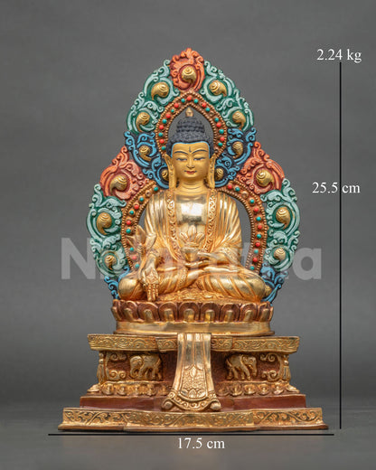 Close Up View of Medicine Buddha Statue Healing Myrobalan and Nectar Bowl