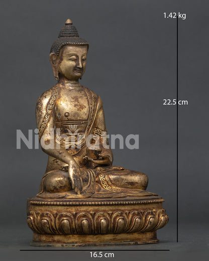 Detailed Shakyamuni Buddha Statue with serene expression and antique gilded finish.