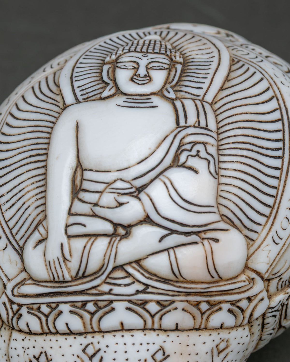 Detailed view of Buddha carved in Dhyana meditation gesture on conch shell.