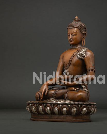 Detailed View of Shakyamuni Buddha Statue with Hand Carved Monk Robe.