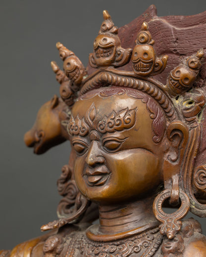 Dorje Phagmo Statue detailed side close up with flaming halo and ritual attributes