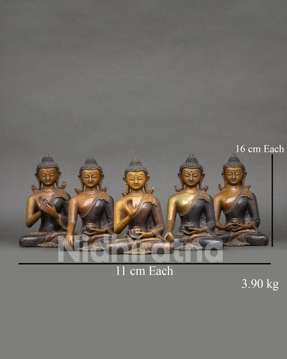 Five Dhyani Buddhas set statue oxidized copper handmade Newari artisan from Patan Nepal Vajrayana altar meditation sacred Buddhist sculpture collection