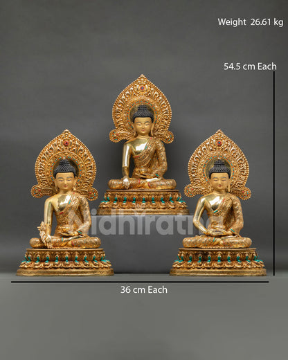 front view of golden three buddha set with shakyamuni amitabha and medicine buddha