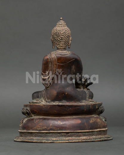 Handcrafted Oxidized Medicine Buddha statue on double lotus pedestal from Nepal