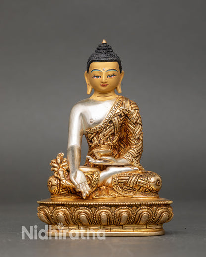 Medicine Buddha back,  healing bowl, myrobalan stem, detailed robes, Nepal