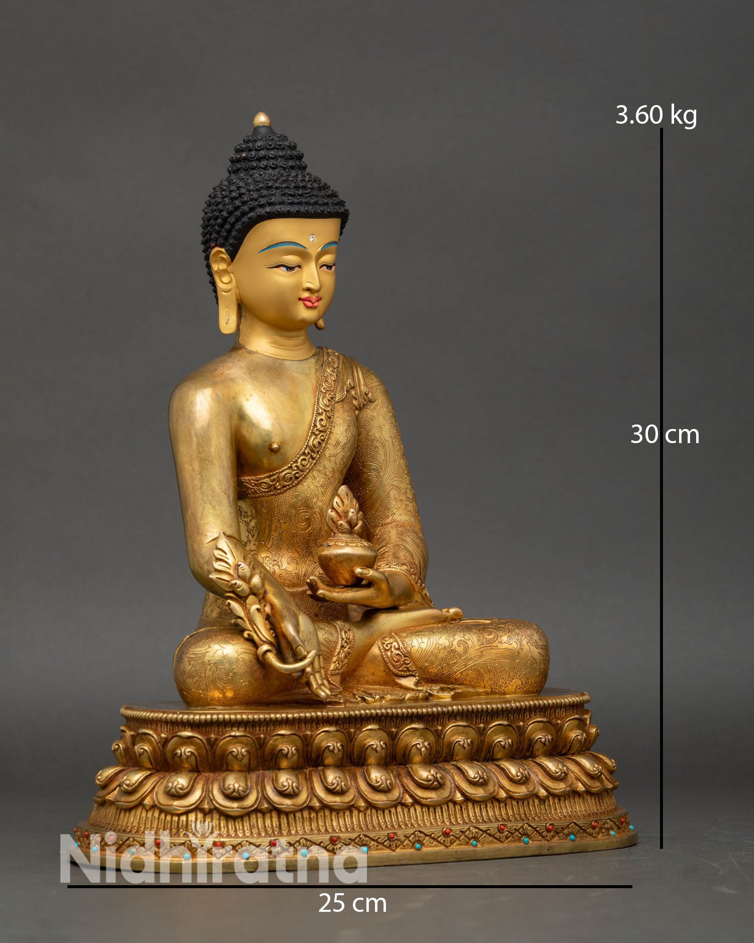 Medicine Buddha side view seated lotus posture varada mudra holding myrobalan plant dhyana mudra medicine bowl spiritual decor