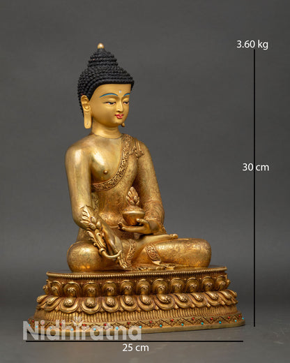 Medicine Buddha side view seated lotus posture varada mudra holding myrobalan plant dhyana mudra medicine bowl spiritual decor
