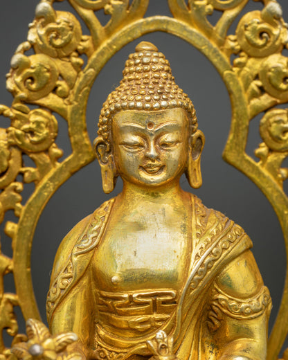 Medicine Buddha statue close up showing serene face and gold finish.