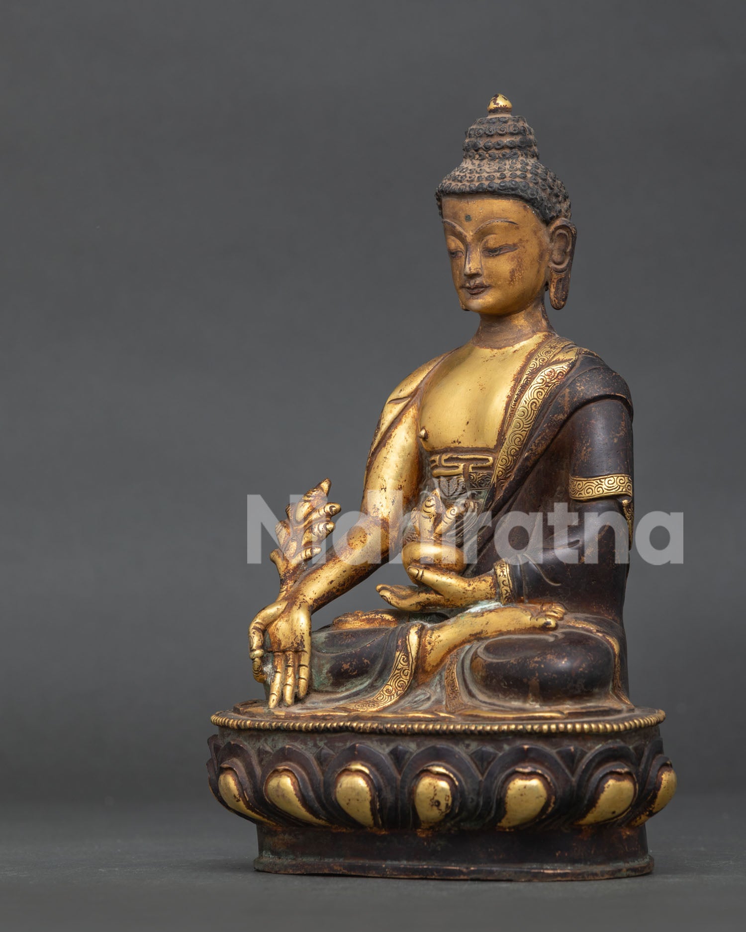 Medicine Buddha Statue Detail Showing Handcarved Monk’s Robe and Myrobalan Plant.