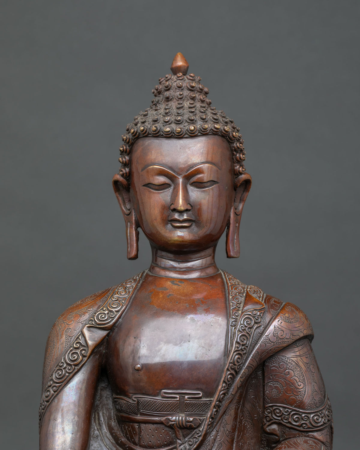 Medicine Buddha statue Myrobalan plant hand carved monastic robe.