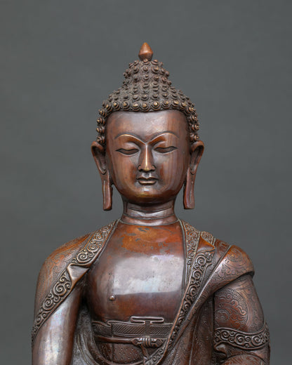 Medicine Buddha statue Myrobalan plant hand carved monastic robe.