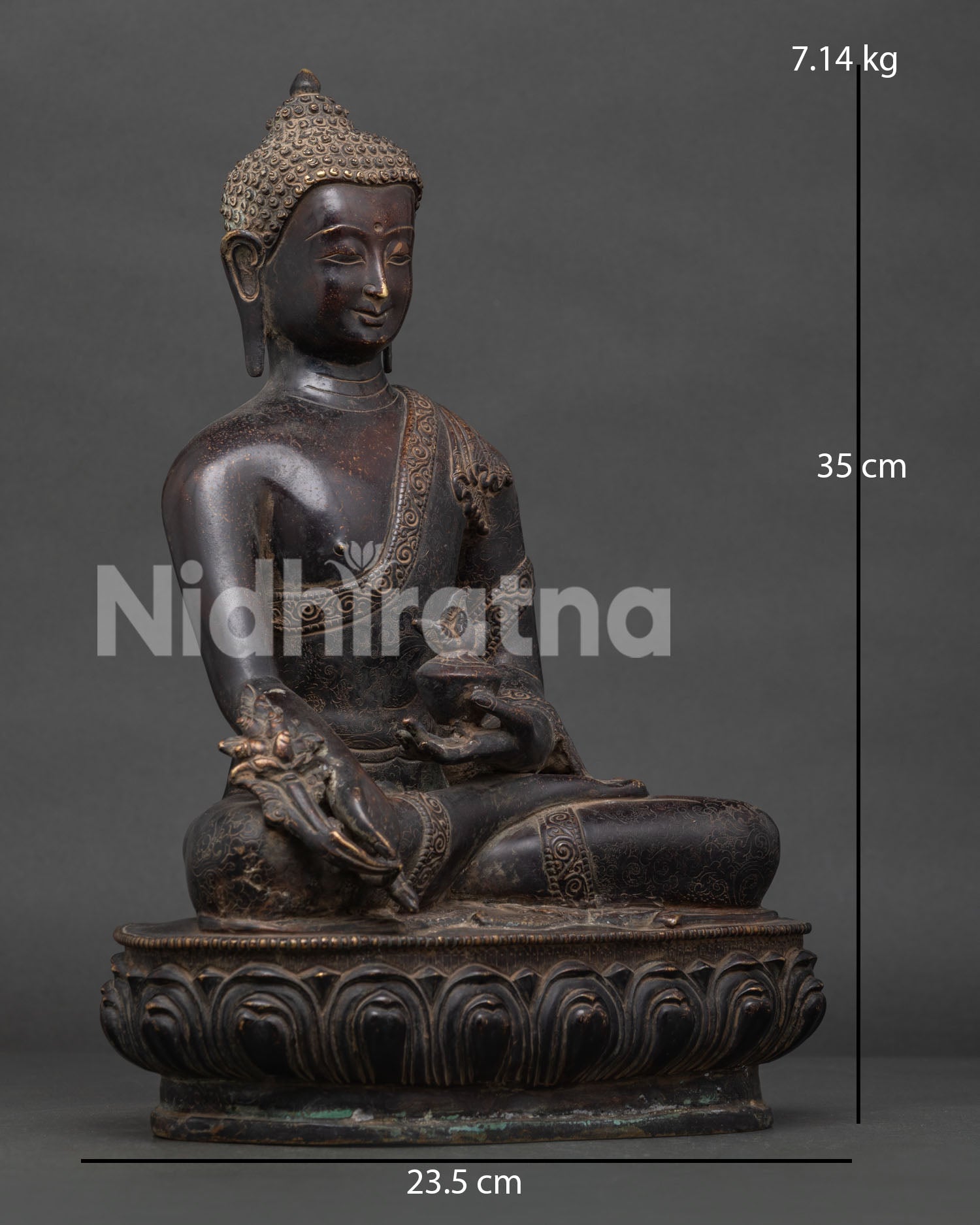 Medicine Buddha statue seated on lotus pedestal holding myrobalan plant.