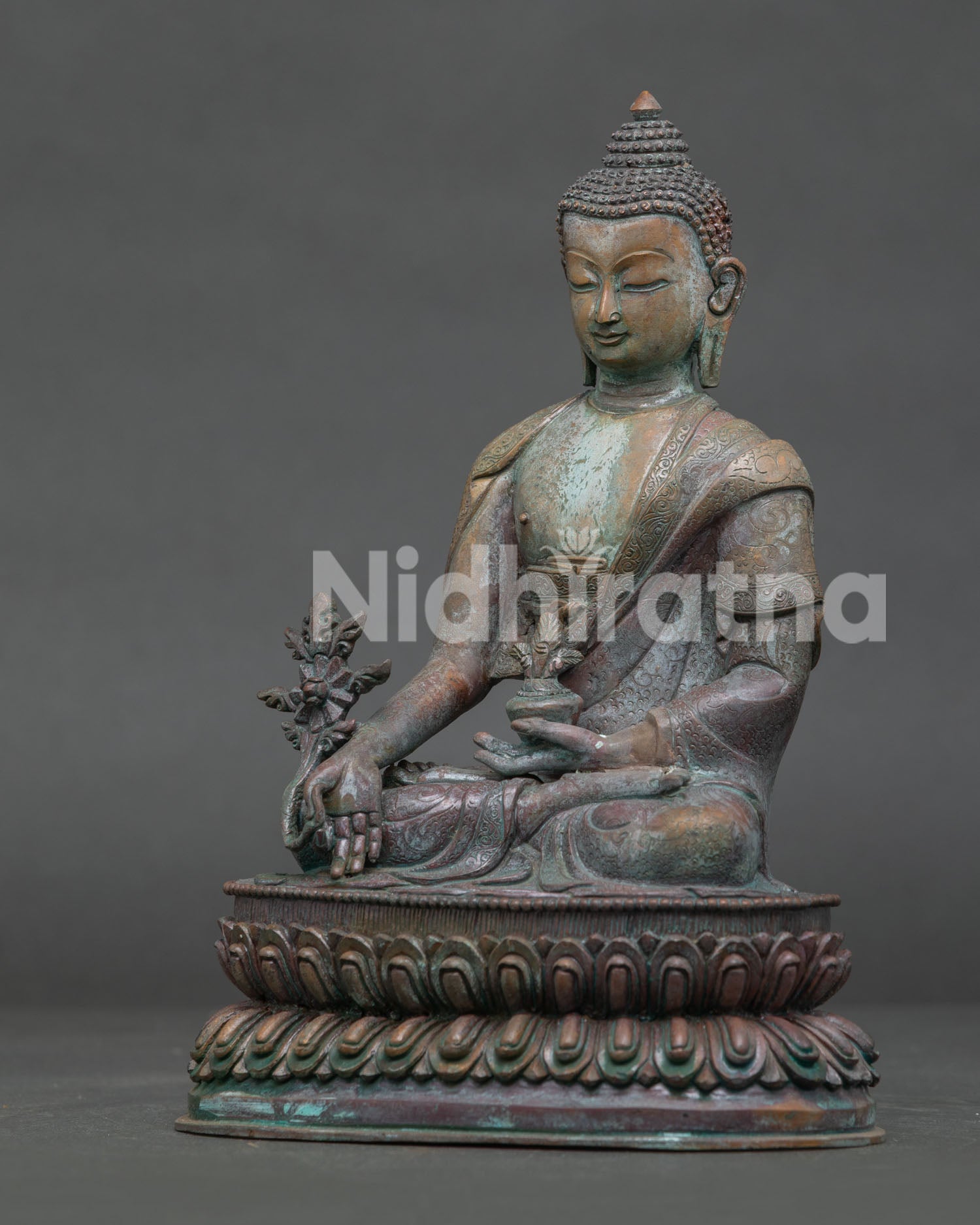 Medicine Buddha statue with alms bowl and myrobalan healing plant.