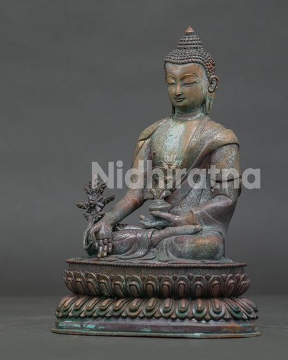Medicine Buddha statue with alms bowl and myrobalan healing plant.