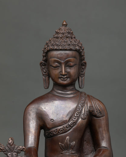 Medicine buddha statue with sacred myrobalan plant and monk robe.