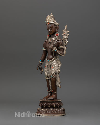 Padmapani statue on double lotus pedestal with oxidized silver finish.