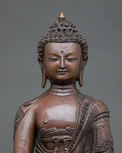 regular close up shakyamuni buddha statue oxidized copper detailed carving robe lotus base
