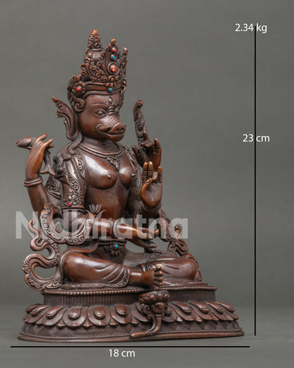 right side view of handcrafted four armed varahi statue from nepal