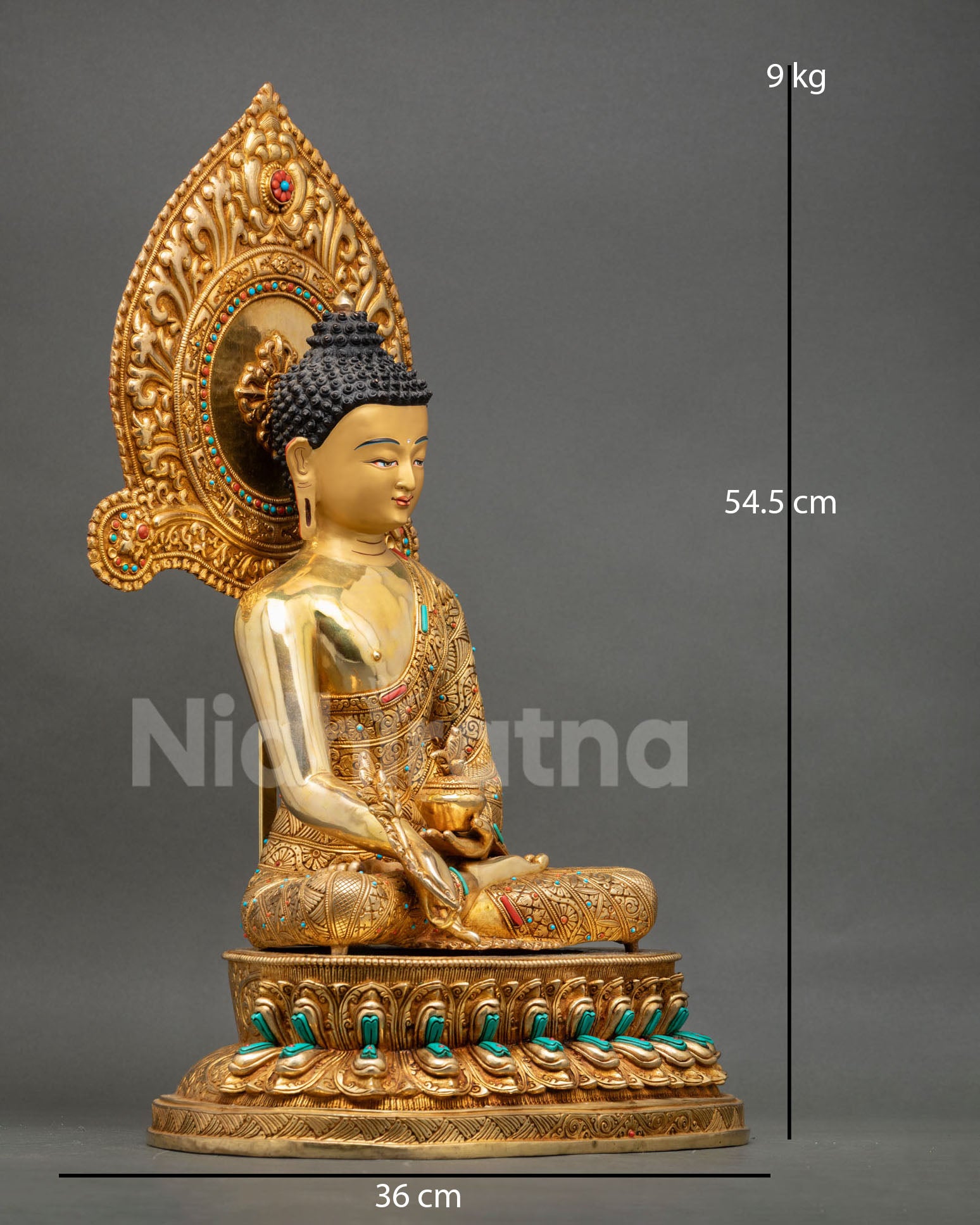 right side view of medicine buddha statue holding myrobalan stem and nectar bowl