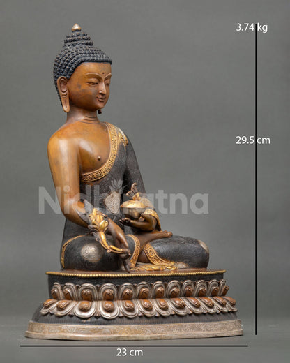 right view of medicine buddha statue holding myrobalan stem and medicine bowl