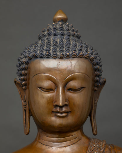 Serene Half Lidded Face of Oxidized Copper Shakyamuni Buddha Radiating Tranquility