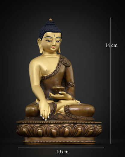 Shakyamuni buddha in bhumisparsa mudra on hand carved lotus pedestal.