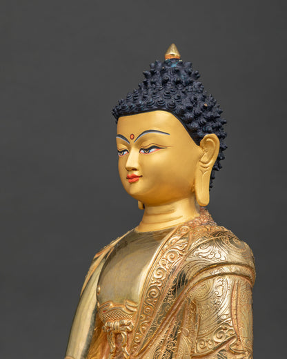 Shakyamuni Buddha statue floral motif monk robe side close up.