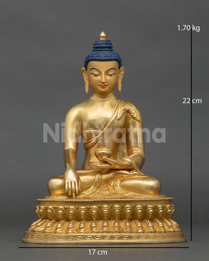 Shakyamuni buddha statue in earth touching mudra on hand carved double lotus pedestal.