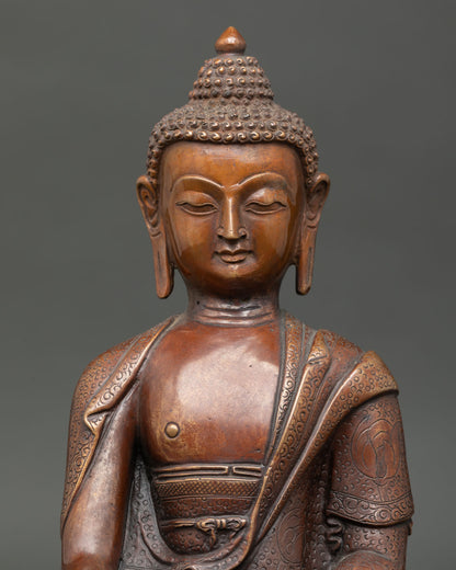 Shakyamuni Buddha face detail showing peaceful expression, Himalayan Buddhist craftsmanship, and meditation symbolism.