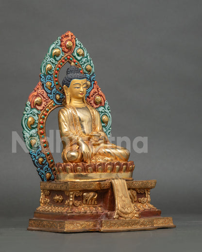 Side Face View of Gautama Buddha Statue with Serene Meditation Expression