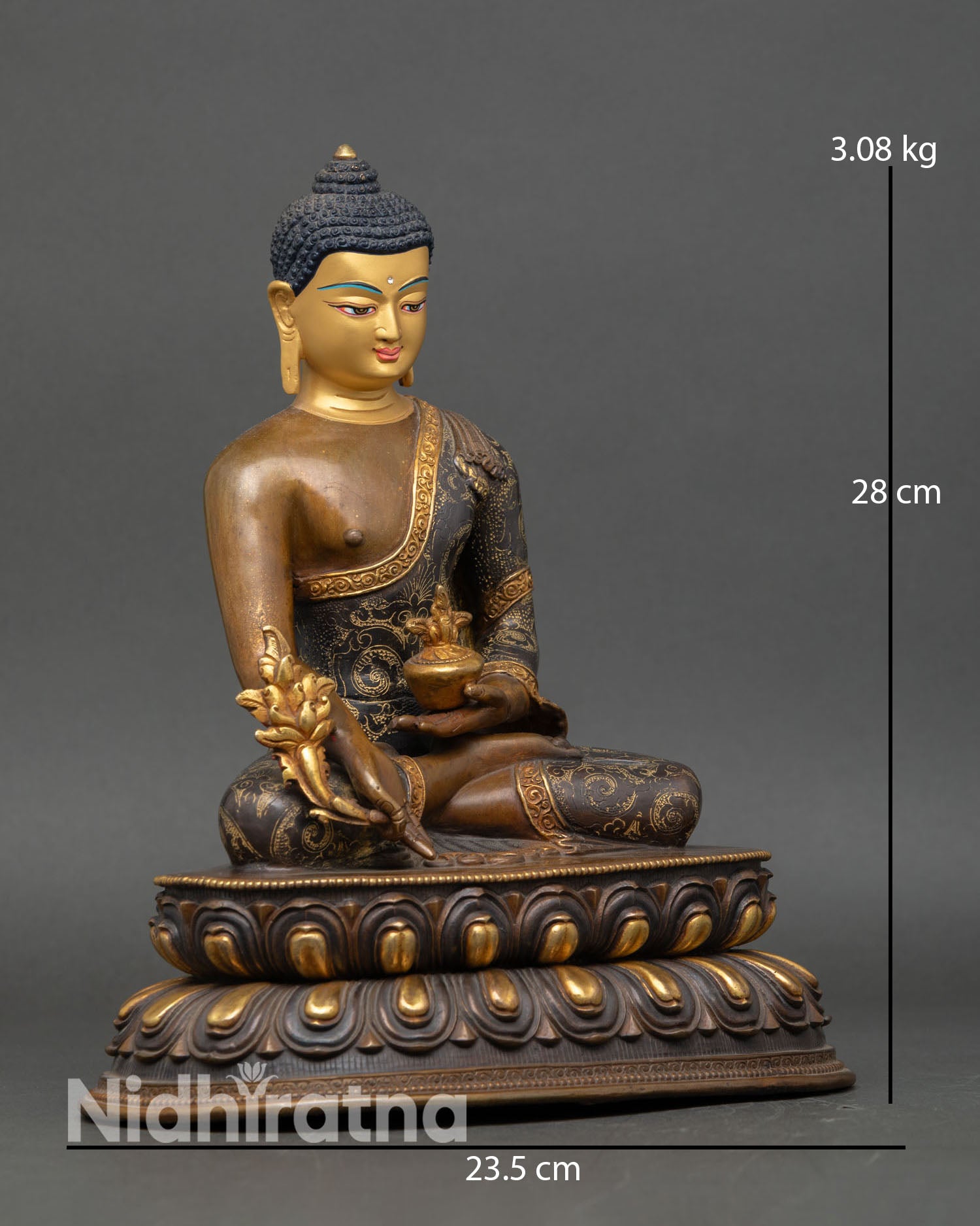 Side view Buddha of Healing statue bowl of healing nectar myrobalan plant