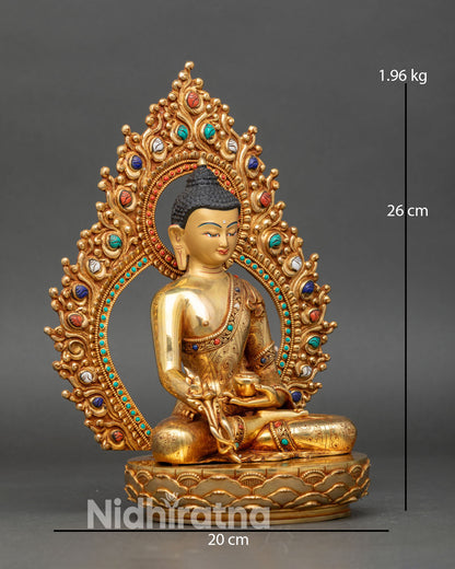 Side view Medicine Buddha statue, holding myrobalan healing herb
