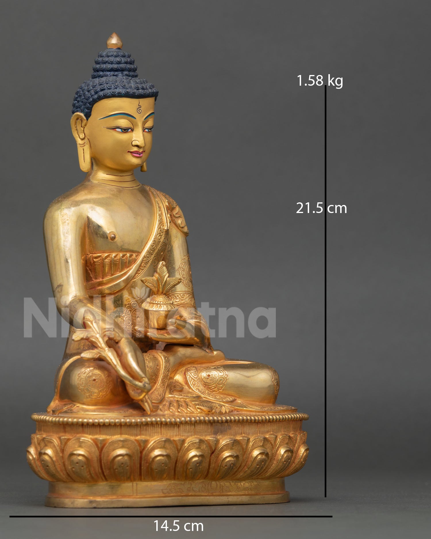 Side view of Medicine Buddha statue meditative posture flowing robes gold gilded copper sculpture Himalayan Buddhist healing Buddha