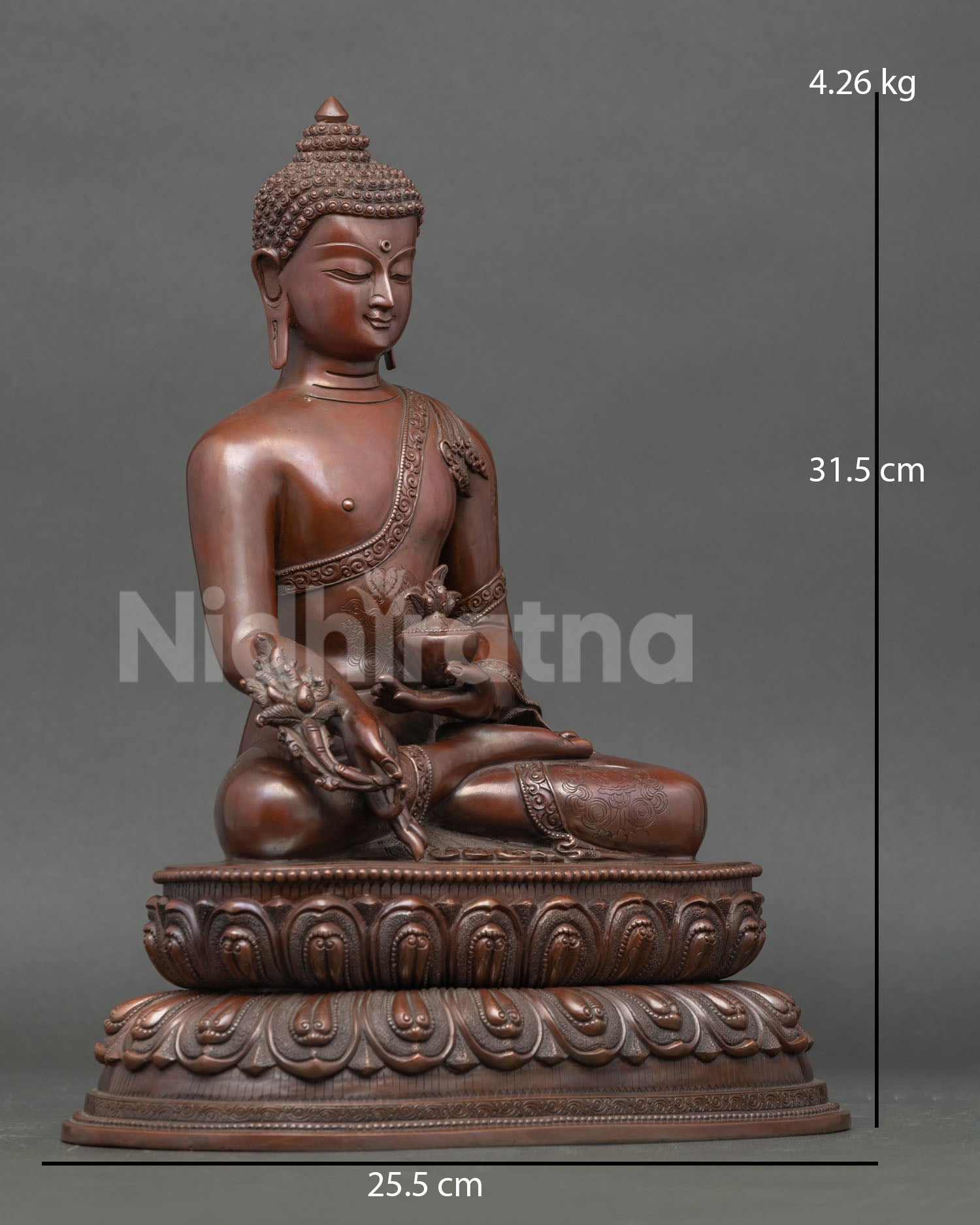 Side view of Medicine Buddha sculpture holding myrobalan plant symbolizing healing energy