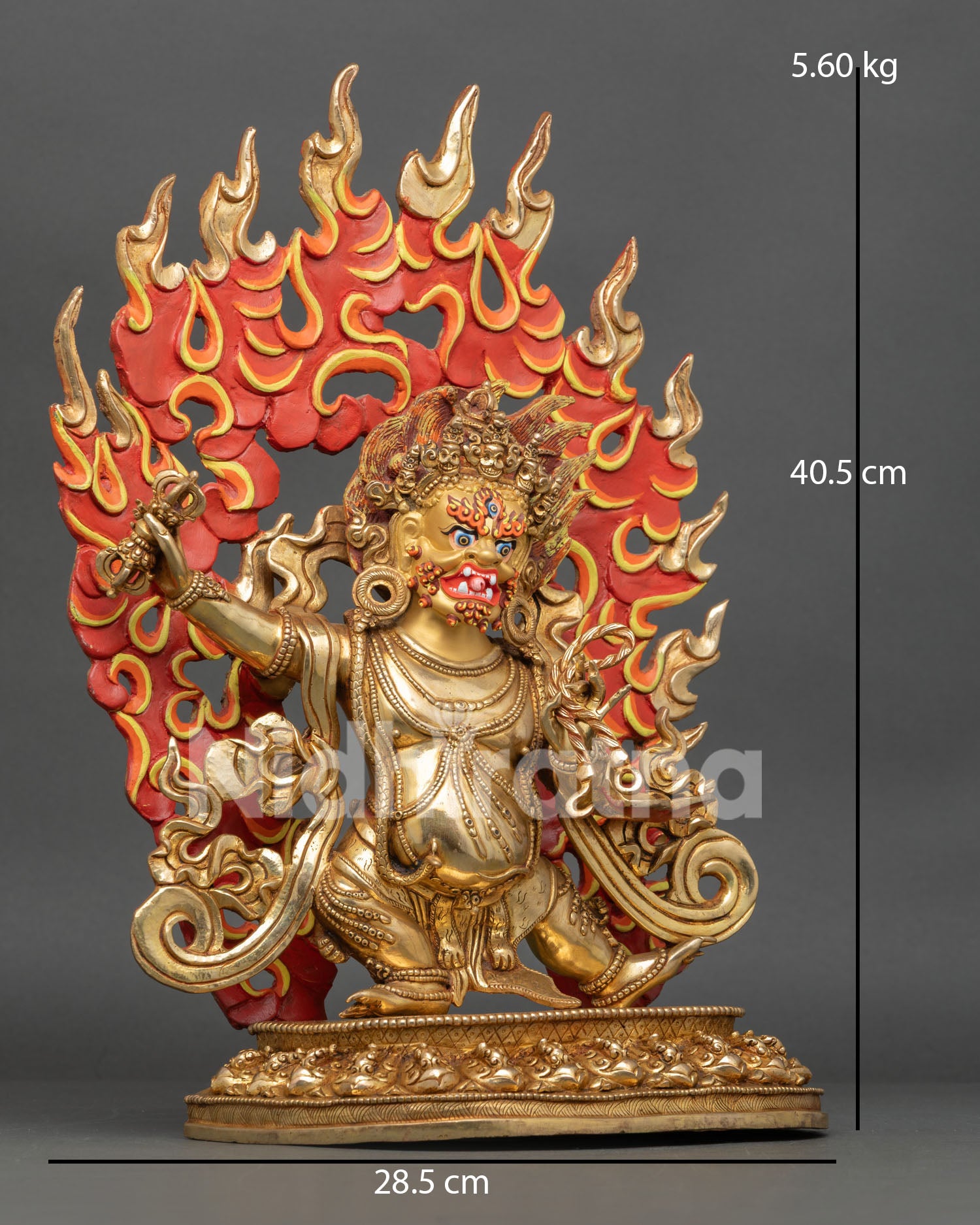 Side View of Vajrapani Standing Posture Vajra and Lasso, Blazing Halo, Lotus Seat, Buddhist Protector