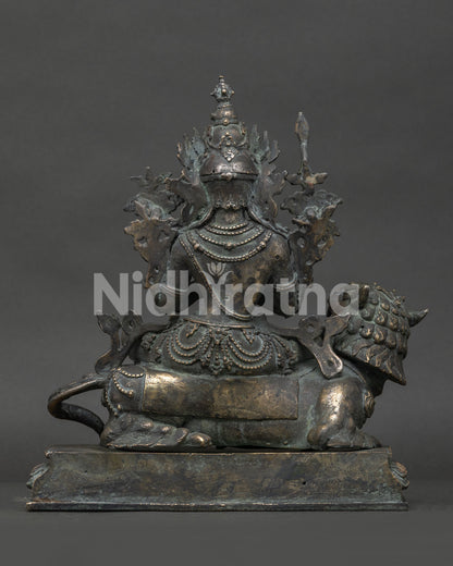 simhanada manjushri bronze statue detailed back view