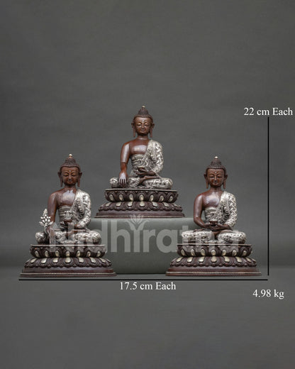 Three Buddha statue set front view amitabha shakyamuni medicine buddha.